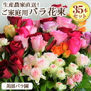 【ふるさと納税】訳あり　生産農家直送！ご家庭用バラ花束35本セット 簡易包装 ※沖縄・離島への配送不可| バラ 薔薇 ばら 花束 自宅用 鑑賞 インテリア 新鮮 摘みたて 採れたて 茨城県 古河市 苅部ばら園 送料無料 おしゃれ 綺麗 きれい 鮮やか _AL02