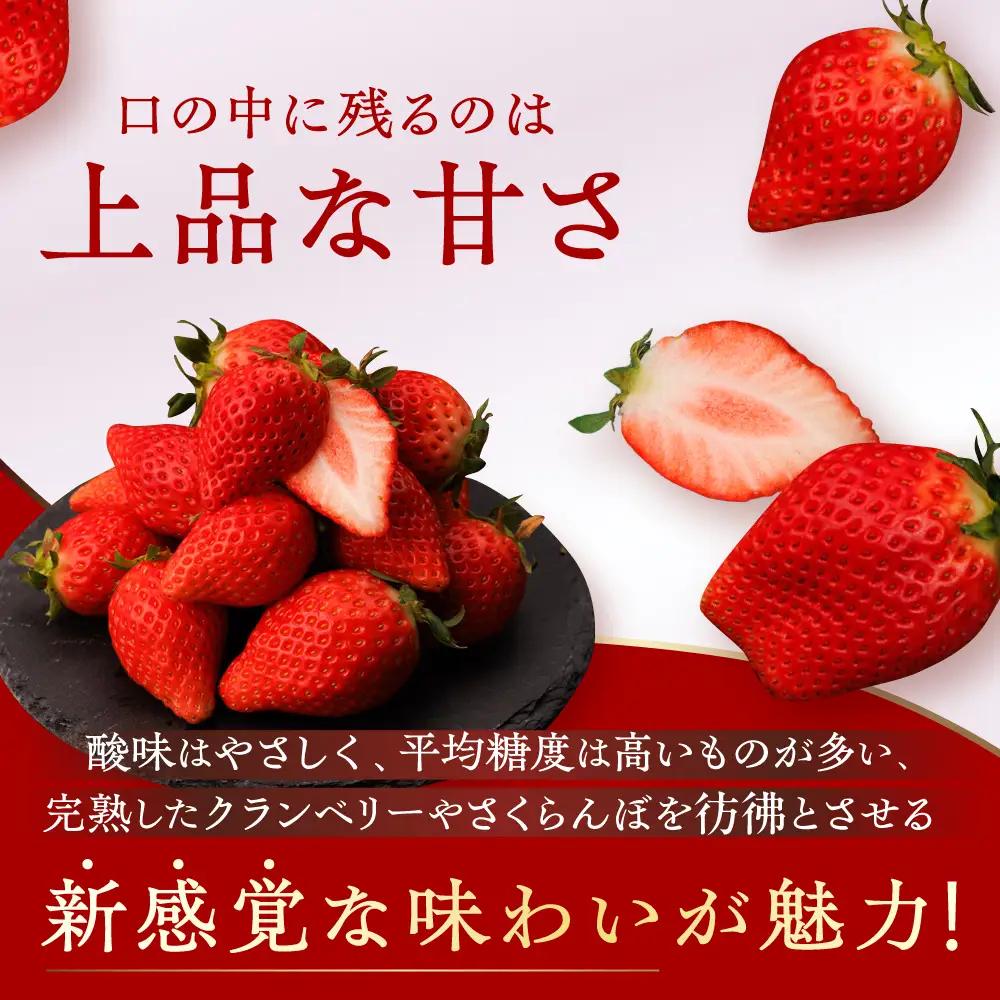 【先行予約 2027年1月～発送】いちご 『咲姫』2パック（計450g以上）いちご ICB001