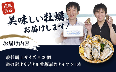 厚岸産 殻牡蠣 Lサイズ 20個 セットカキ 大粒 新鮮 濃厚 マルえもん 牡蠣
