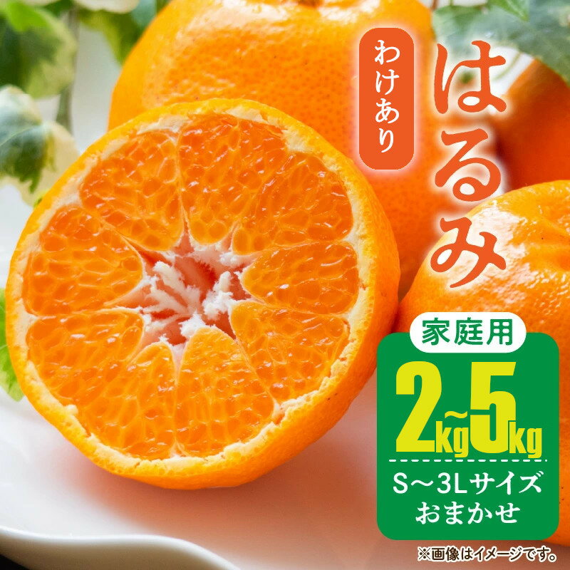 【ふるさと納税】【先行予約】 家庭用 ・ 訳あり はるみ 和歌山 有田 S～2Lサイズ 大きさお任せ 選べる 容量 2kg～5kg ※1月下旬～3月下旬に順次発送予定 / はるみ 柑橘 //dekopon