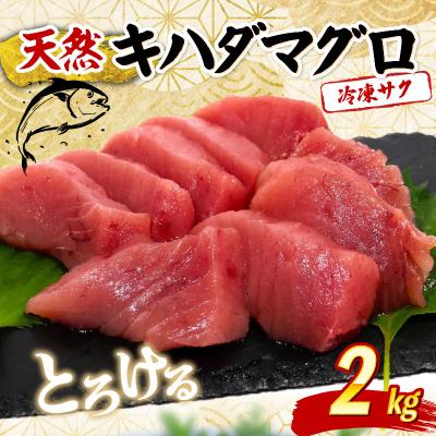 ふるさと納税 室戸市 天然キハダマグロ 2kg 刺身用柵 赤身 刺身 室戸市産
