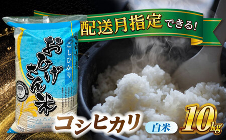 ＼2025年11月発送分／ コシヒカリ 白米 10kg 米 お米 ご飯 愛西市 / 脇野コンバイン こしひかりお米 こめ 精米 [AECP022-3]