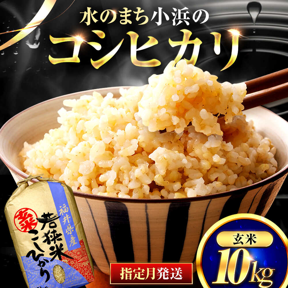 【ふるさと納税】【選べる発送月】 福井県産 コシヒカリ 玄米 10kg 一等級 /甘みと粘りが自慢 王道米 こしひかり 小浜市 / 若狭ふれいあい市場[BFEL001-013]