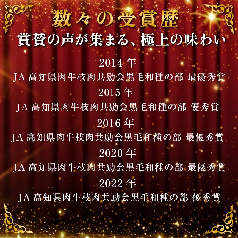 国産黒毛和牛 大川黒牛 サーロインステーキ A4以上（200g×2枚） 国産 黒毛和牛 A4 A5 ステーキ サーロイン 牛肉  バーベキュー BBQ ビフテキ 牛 ビーフ 肉 食品 高知県 大川村 