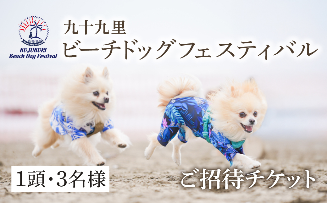 【九十九里ビーチドッグフェスティバル2025】1頭・3名様 ご招待チケット　ふるさと納税 チケット イベント ドッグフェス 愛犬 ワンちゃん beach dog fes ビーチ 砂浜 海岸 九十九里 千葉県 山武市 SMU009
