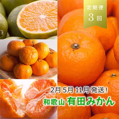 ふるさと納税 湯浅町 【発送月固定定期便】季節の柑橘定期便B【フルーツ定期便】【和歌山県有田】全3回