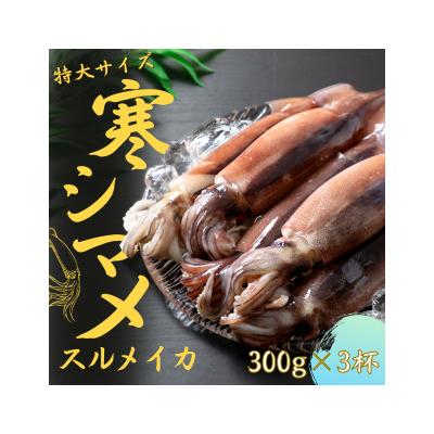ふるさと納税 海士町 【朝どれ寒シマメ特大サイズ 丸ごと3杯セット】300g×3杯