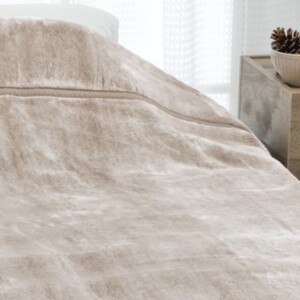 ROMANCE オーロラ ふっくら襟元 ニューマイヤー毛布 シングル 30006450