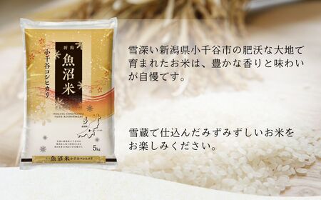 【先行予約】令和7年産新米 魚沼産コシヒカリ 無洗米 5kg×2袋 吉兆楽 新米コシヒカリ 新米コシヒカリ 新米コシヒカリ