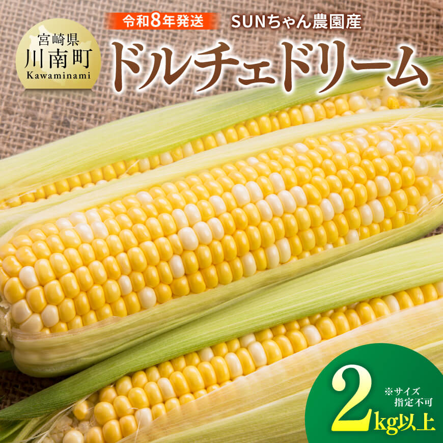 【令和８年発送】SUNちゃん農園産「ドルチェドリーム2kg以上（サイズ指定不可）」 期間限定 とうもろこし スイートコーン トウモロコシ スィートコーン 令和8年発送