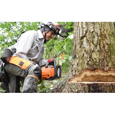 ふるさと納税 羽後町 太陽の薪　18箱3回配送 [No.5325-0030] |  | 02