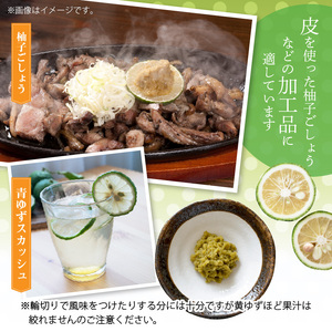 訳あり 青ゆず 生果実 たっぷり5㎏　MM0206
