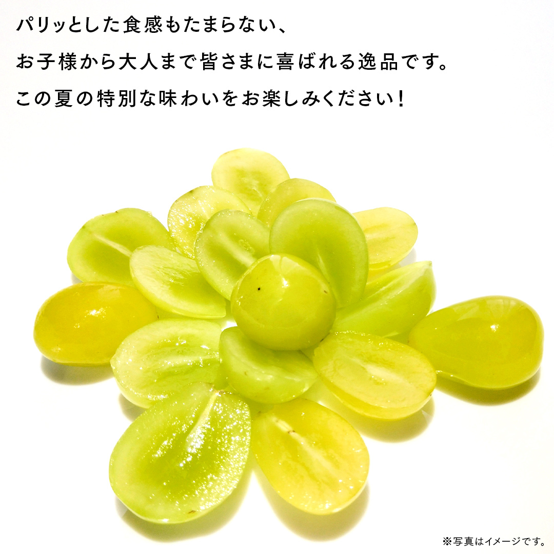 シャインマスカット 5kg （8～12房）【2025年9月より発送開始】（茨城県共通返礼品 [ぶどう]：結城市産） 葡萄 マスカット 旬 お取り寄せ フルーツ 種なし 皮ごと 甘い デザート [FC0