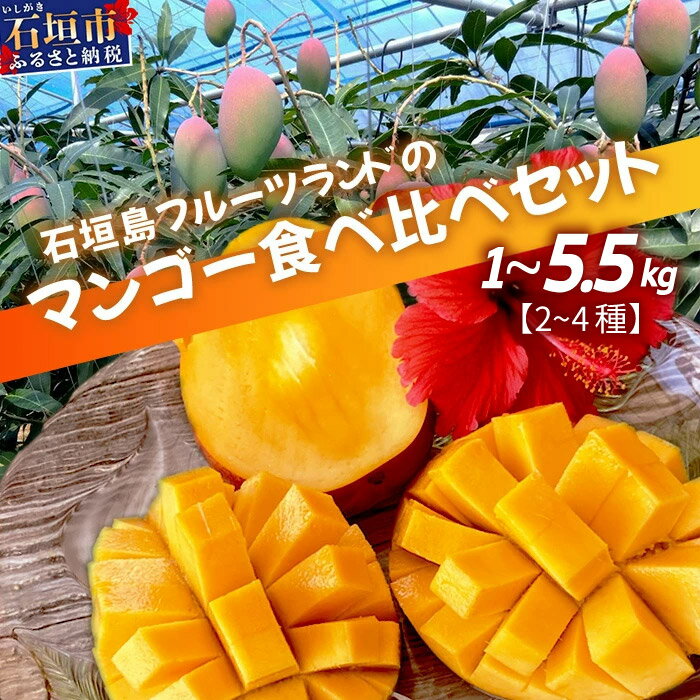【ふるさと納税】産地直送！石垣島産 マンゴー 食べ比べセット 1~5.5kg (3～4種) (2025年6月中旬～8月下旬発送) | ふるさと納税 マンゴー 果物 くだもの フルーツ 果実 国産 沖縄県 石垣島 ふるさと 人気 送料無料