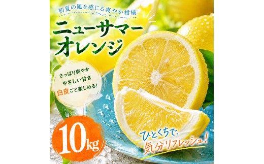 【選ぶならこれ】 初夏の爽快感 【ニューサマーオレンジ】 10kg 愛媛県産 【2027年4月中旬頃から順次発送】 | みかん ミカン mikan 蜜柑 訳ありフルーツ 柑橘 果物 おすすめ お勧め お取り寄せ ギフト 愛媛県 松山市