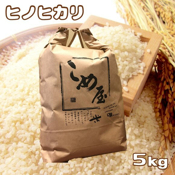 【ふるさと納税】米 ひのひかり ヒノヒカリ 5kg 日本遺産 菊池川 玉名 熊本 送料無料