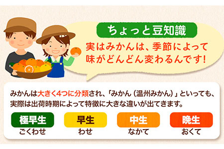 【先行予約】【訳あり】サイズ不選別 和歌山みかん 約5kg 和歌山県産 《2024年11月中旬-1月中旬頃出荷》｜たっぷり ご家庭用 2L～2S 産地直送 みかん 旬 蜜柑 ミカン 柑橘 果物 フルー