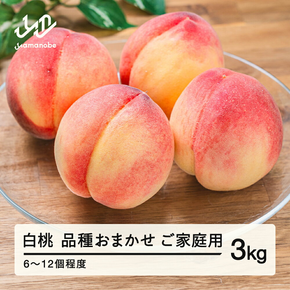 【ふるさと納税】【先行予約】桃 品種おまかせ 白桃 もも ご家庭用 約3kg(6~12個程度) 2026年産 山形県産 送料無料 tf-moywm3 ※沖縄・離島への配送不可