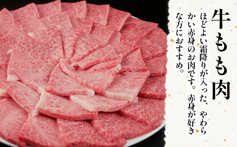 飛騨牛 もも 焼肉用 500g A5 A4 国産 牛 冷凍 和牛 牛肉 もも肉 モモ 焼き肉 やきにく 赤身 ギフト 贈答 おすすめ BBQ バーベキュー キャンプ にく お肉 肉 東白川村 岐阜 飛