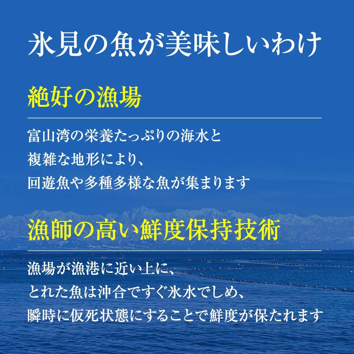 【配送地域限定】 産地直送の朝どれ鮮魚お刺身セット 2〜３人前 平日お届け