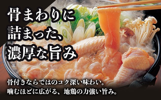 みやざき地頭鶏 大手羽 約3kg（500g×6P）セット 大容量 冷凍｜家庭応援 鶏肉 地鶏 手羽元 手羽先 精肉 出汁 鍋 チキン じとっこ 真空パック 料理 お肉 肉 小分け 使いやすい 大容量パ