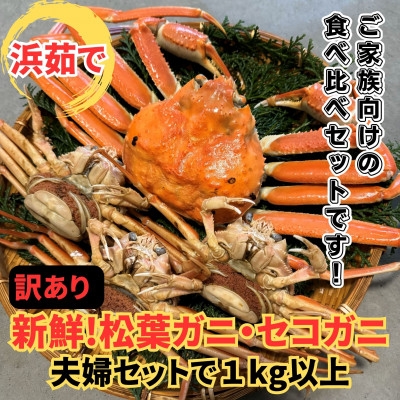 
                  ＜さかなや新鮮組＞鳥取県産 訳あり 浜茹で松葉ガニ・セコガニ1.0kgセット ご家庭用 漁港直送【1759709】
                