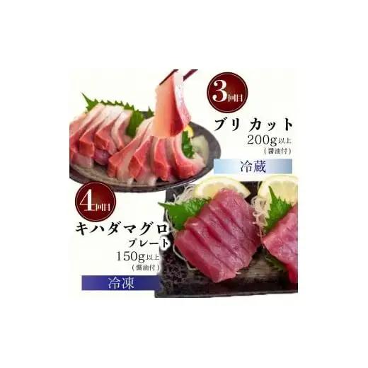 【 刺身 】 刺身定期便4ヶ月