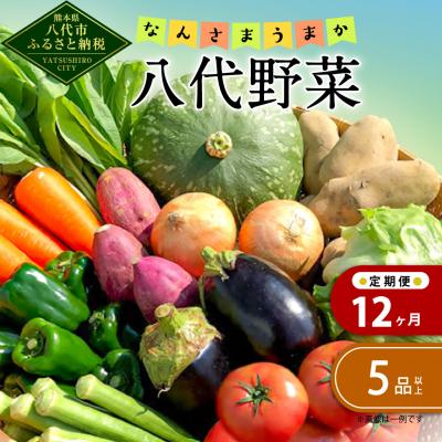 ふるさと納税 八代市 【定期便12回】なんさまうまか八代野菜セット 5品以上_001-4643-C