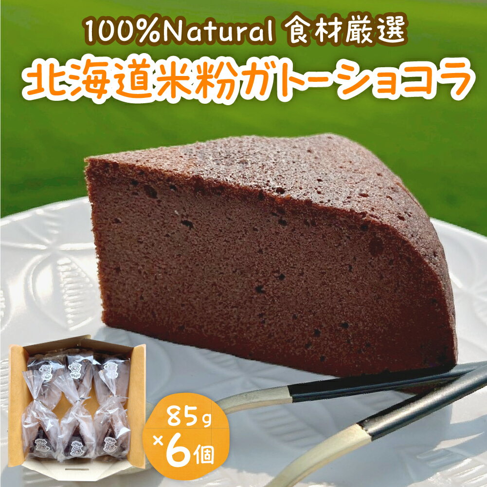【ふるさと納税】北海道 特別栽培 米粉 ガトーショコラ 85g × 6個 チョコ チョコレート グルテンフリー ケーキ 米粉ケーキ 北海道産 豆腐 アレルギー改善米 ゆきひかり 使用 乳製品 小麦粉 不使用 DELMANI 健康 送料無料 お取り寄せグルメ 北海道 十勝 芽室町