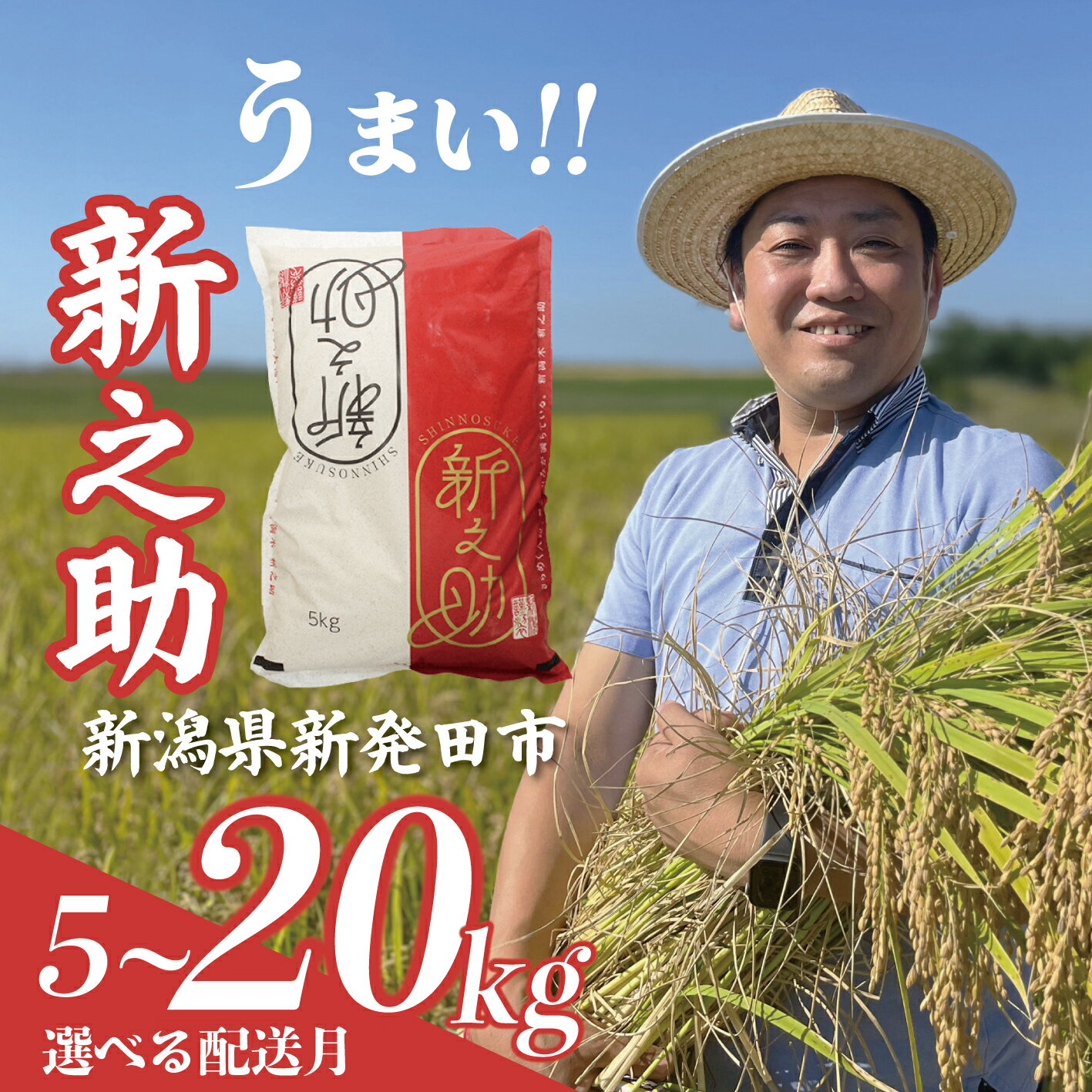 【ふるさと納税】 10月予約受付中!! 令和7年産 新之助 5kg 10kg 20kg 選べる 配送月 新米 お米 こめ ご飯 ごはん おいしい 新潟 新潟県 米 しんのすけ 新発田産 新潟産 朝食 昼食 夕飯 炊きたて 精米 ブランド watasho007P