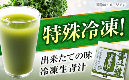 遠藤青汁 【生】 冷凍 1箱 (100g×28袋) / 青汁 遠藤青汁 冷凍青汁 青汁 遠藤青汁 冷凍青汁 [ATAC001]