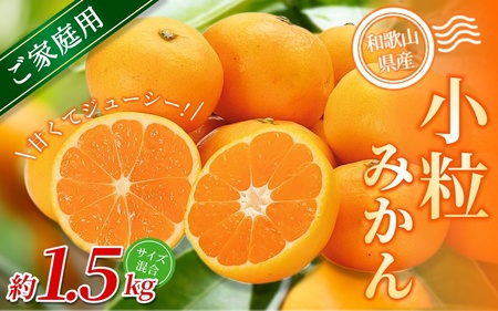 小粒みかん 約1.5kg【家庭用】 森本農園の手選別  和歌山県産 【BV-mrmt060】