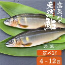 【ふるさと納税】先行予約【令和7年7月末〜9月上旬発送】高原川の天然鮎 4〜12匹 たかはら鮎 鮎 あゆ アユ 川魚 魚 サカナ 天然 冷凍 アウトドア バーベキュー BBQ 魚 《hida0307》