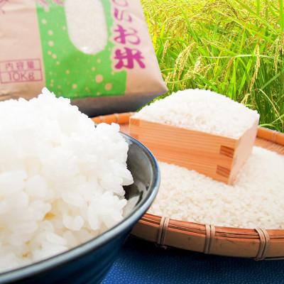 ふるさと納税 潮来市 潮来市産【令和7年産】特別栽培米コシヒカリ　玄米10kg |  | 01