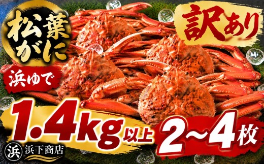 55MZ.■浜下商店■松葉ガニ2～4枚〔浜ゆで〕◆訳あり◆