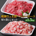 【ふるさと納税】飛騨牛と美濃ヘルシーポーク 切り落としセット 計 1.5kg 牛肉 豚肉 肉 国産 国産牛 黒毛和牛 ぶた モモ 切落し 小分け 小間切れ 冷凍 本巣市 [1176] 15000円