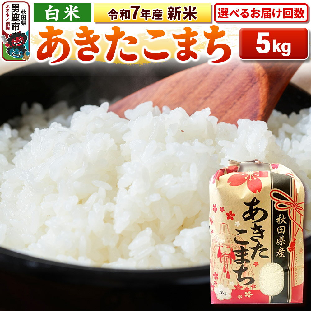【ふるさと納税】《令和7年産 新米》【白米】秋田県産 あきたこまち 5kg 秋田県 男鹿市 こまちライン【選べるお届け回数】