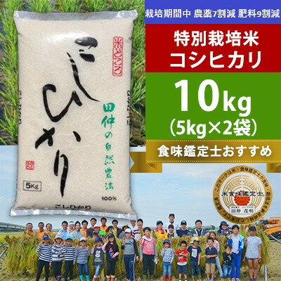 【ふるさと納税】【令和7年産】特別栽培米 田仲のこしひかり(精米)10kg(5kg×2袋)【配送不可地域：離島・沖縄県】【1690521】