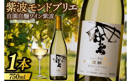 産地限定 ワイン ぶどう品種使用  紫波 モンドブリエ 自園自醸ワイン 紫波 紫波町産 ぶどう 白 やや辛口 ワイン (AL081) 