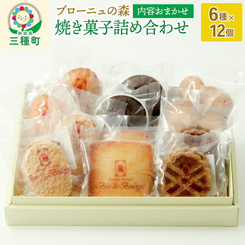 【ふるさと納税】内容おまかせ！焼き菓子詰め合わせ 12個入り [ご当地 菓子 銘菓 スイーツ 洋菓子 お任せ ランダム 福袋]