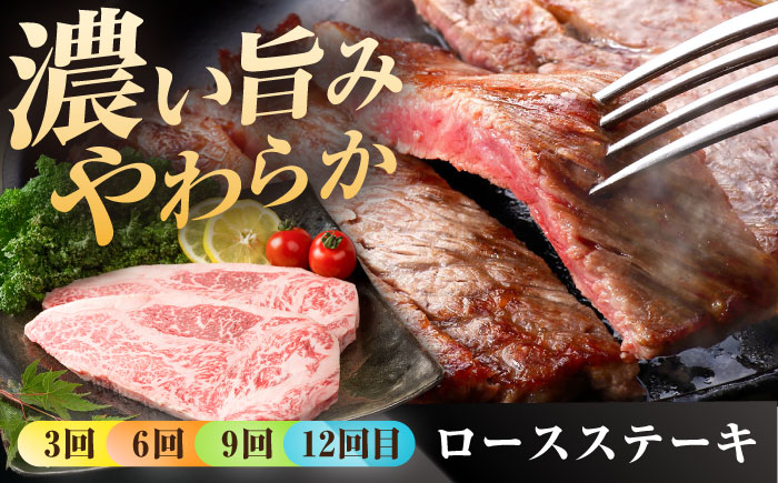 【肉のプロが厳選！】【全12回】佐賀牛 贅沢定期便【株式会社いろは精肉店】 [IAG076]