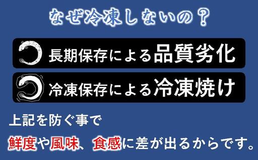 【父の日ギフト】うなぎ 蒲焼 2尾 炭火焼 無頭 炭火の香ばさ際立つ老舗 「うなぎの入船」熟成たれ付 国産 宮崎 蒲焼 鰻 宮崎 かば焼 鰻 ＜13-2a＞