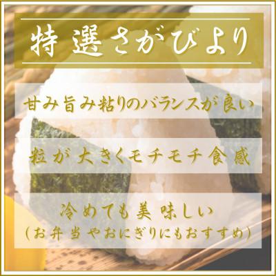 ふるさと納税 江北町 令和7年産【無洗米】食べ比べ(さがびより4kg、夢しずく4kg)五つ星お米マイスター厳選! |  | 01
