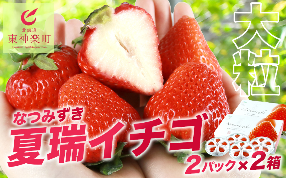 2026年産 先行予約【夏イチゴ】奇跡のひと粒「夏瑞」4パックセット 果物 フルーツ 苺 いちご 国産 北海道産