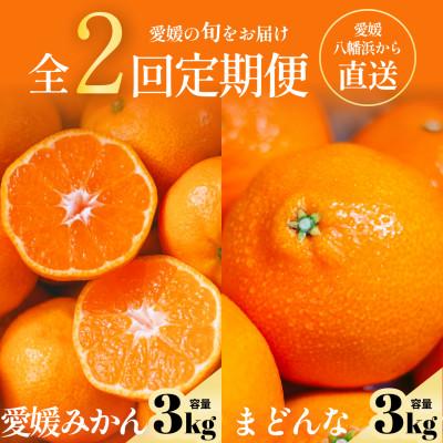 ふるさと納税 八幡浜市 【発送月固定定期便】五代目厳選!旬のみかんをお届け みかん・まどんな 各3kg【G70-78】全2回