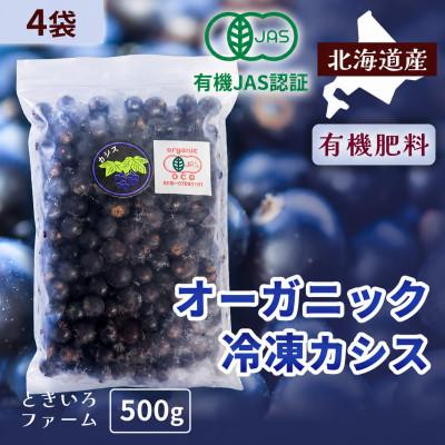ふるさと納税 帯広市 有機JAS認証北海道帯広産 冷凍カシス 2kg(500g×4袋)