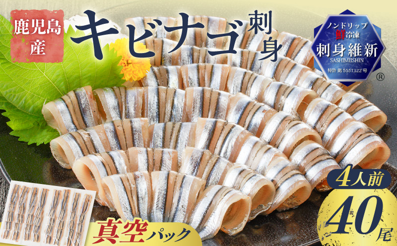 
                  鹿児島産 キビナゴ刺身 40尾 4人前　K100-010
                
