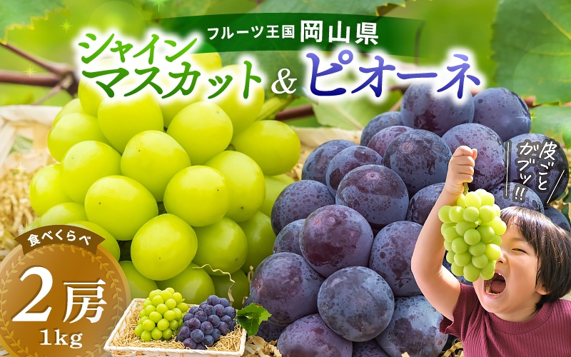 【2026年先行予約】 シャインマスカット&ニューピオーネ 1kg～1.5kg（2房） 2026年9月中旬～ 受付順に発送予定 贈答用にも 花笑み農園厳選 岡山 真庭 ピオーネ 詰め合わせ 高級 贈答