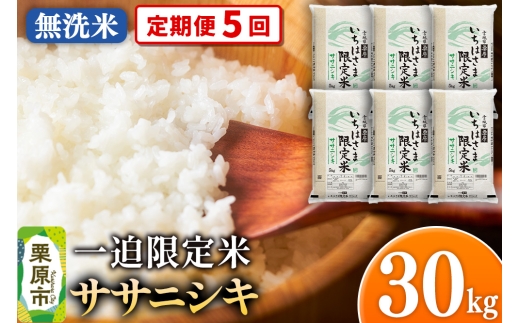 【定期便5回】【無洗米】令和7年産 一迫限定米  ササニシキ 30kg（5kg×6袋）