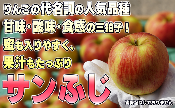 1月発送【糖度保証】家庭用 葉取らず サンふじ 約10kg【訳あり】【鶴翔りんごGAP部会 青森県産 津軽産 リンゴ 林檎】